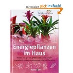 Energiepflanzen im Haus: Welche uns gut tun, welche nicht zu uns passen - Ungewöhnliche Zimmerpflanzenporträts mit Pflegetips